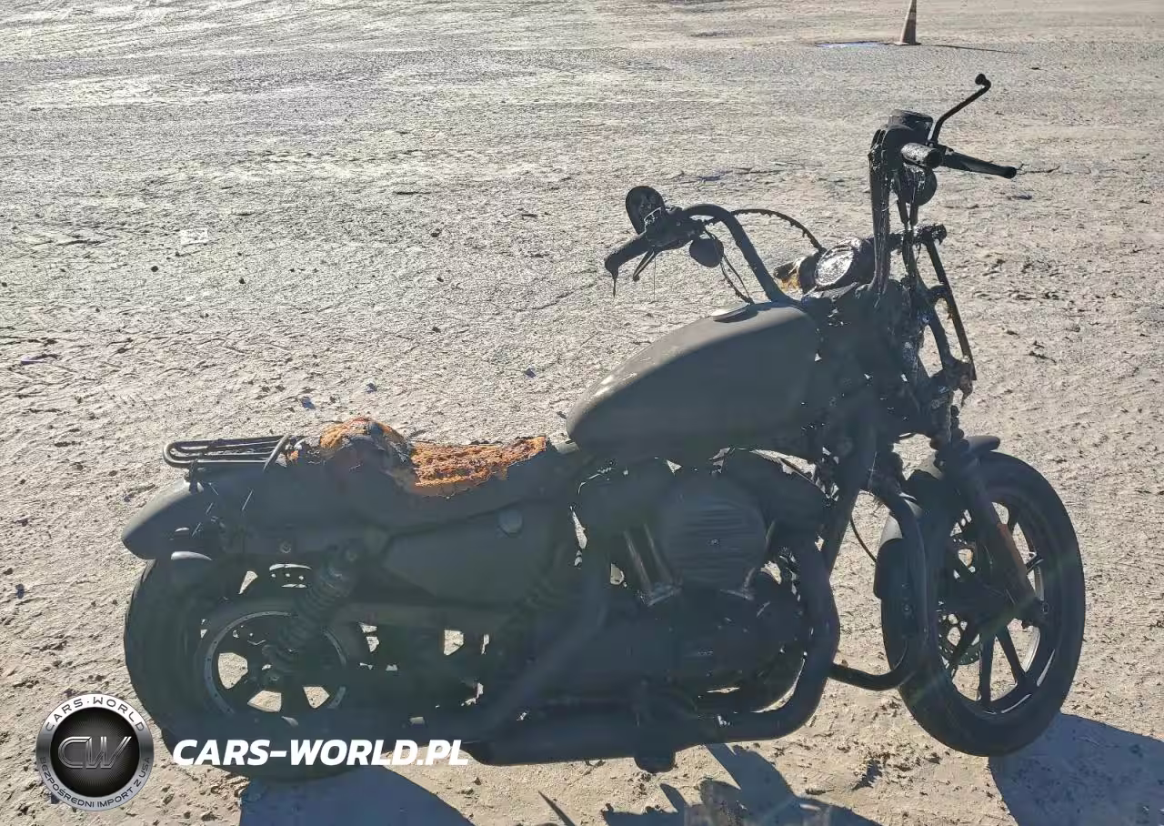 2021 Harley-Davidson Xl1200 Ns