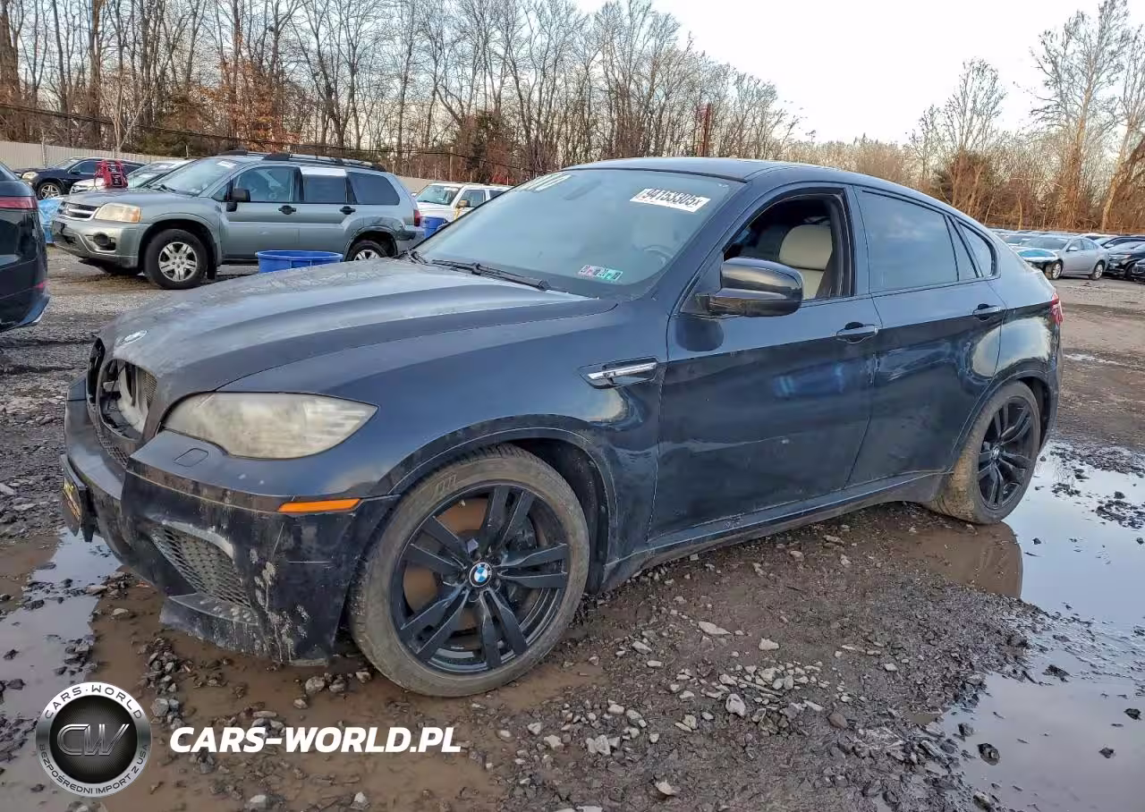 2010 BMW X6 M