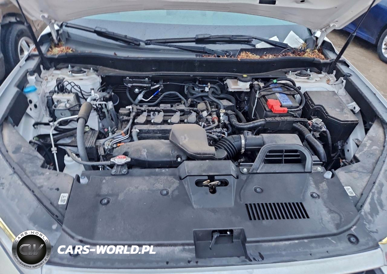 2024 Honda Cr-V Lx VIN:5J6RS4H24RL015007 - 11