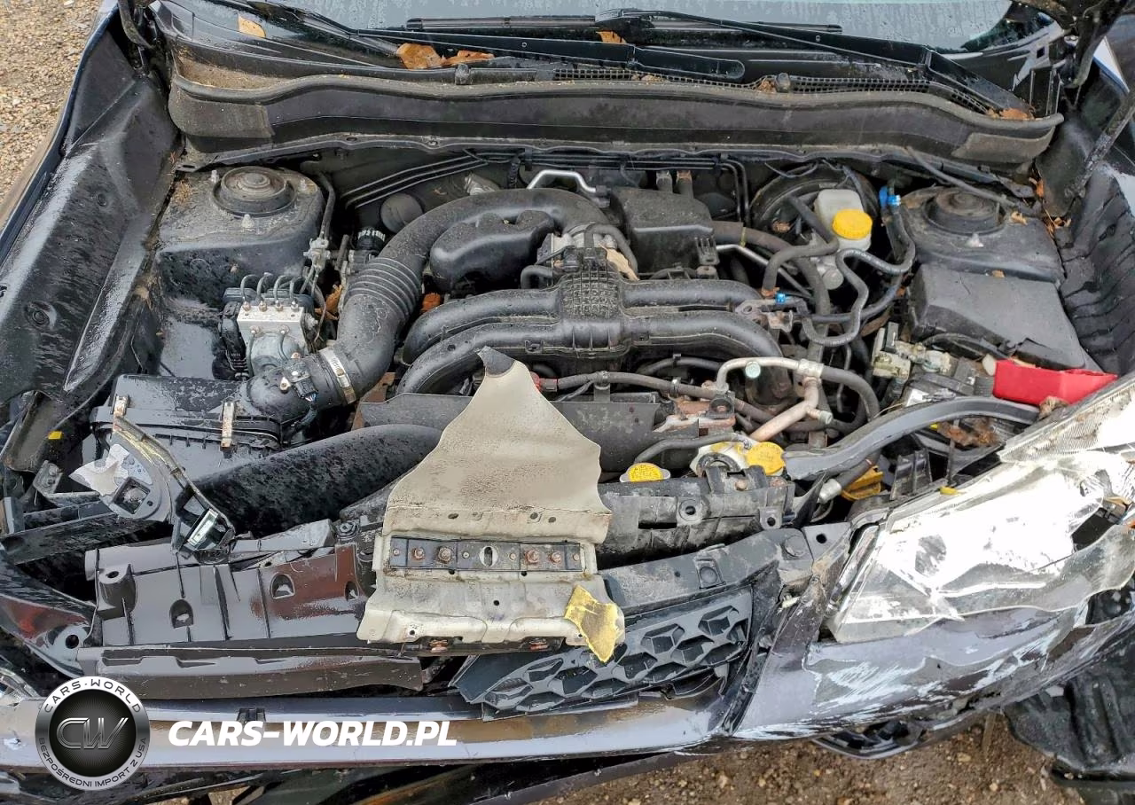 2014 Subaru Forester 2.5I Premium VIN:JF2SJAEC8EH504207 - 12