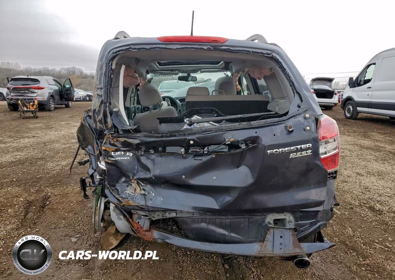 2014 Subaru Forester 2.5I Premium VIN:JF2SJAEC8EH504207 - 6