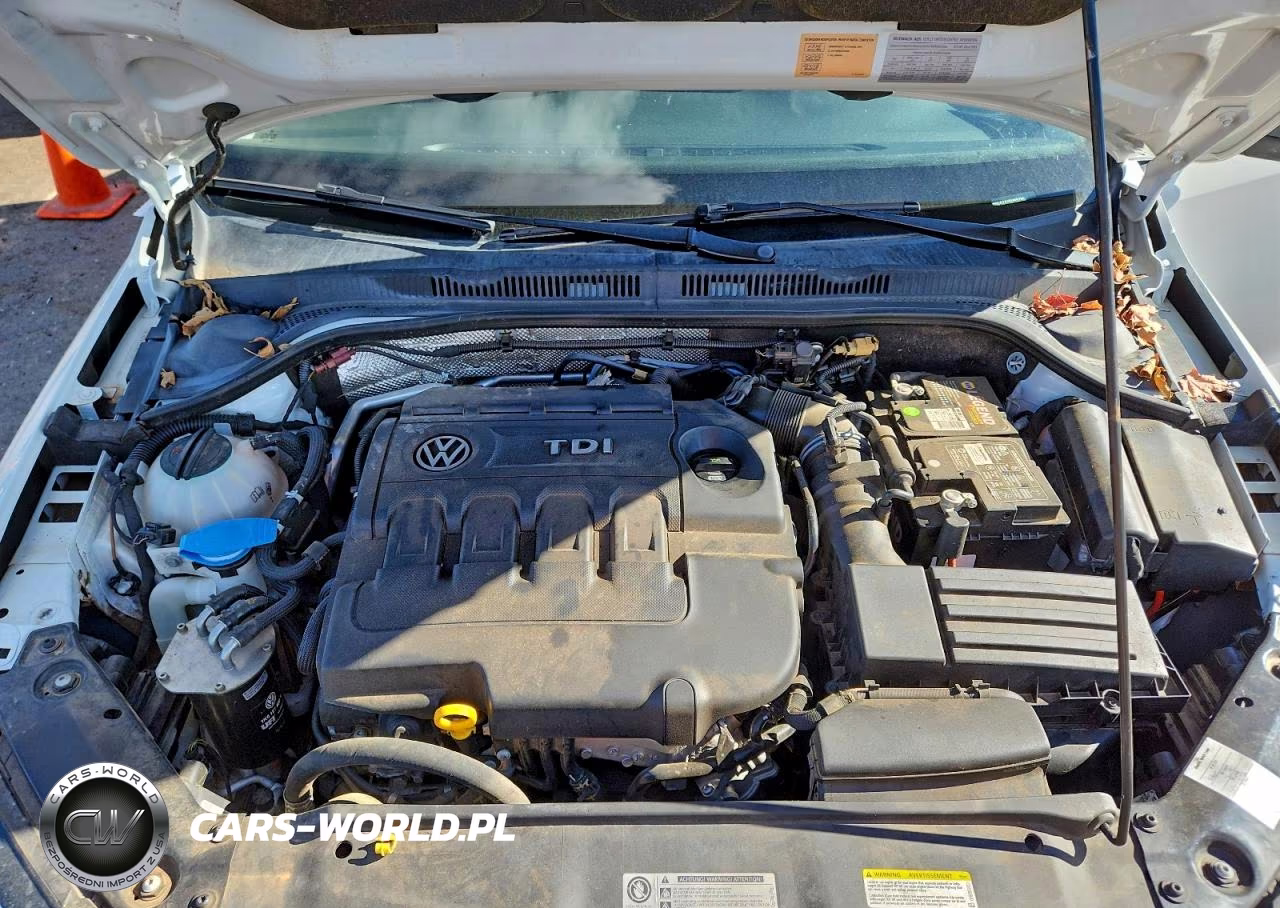 2015 Volkswagen Jetta Tdi VIN:3VWLA7AJ8FM413992 - 11