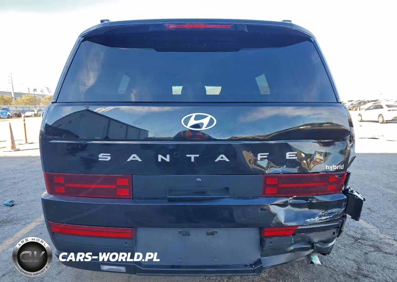 2025 Hyundai Santa Fe Sel VIN:5NMP24G1XSH057551 - 6
