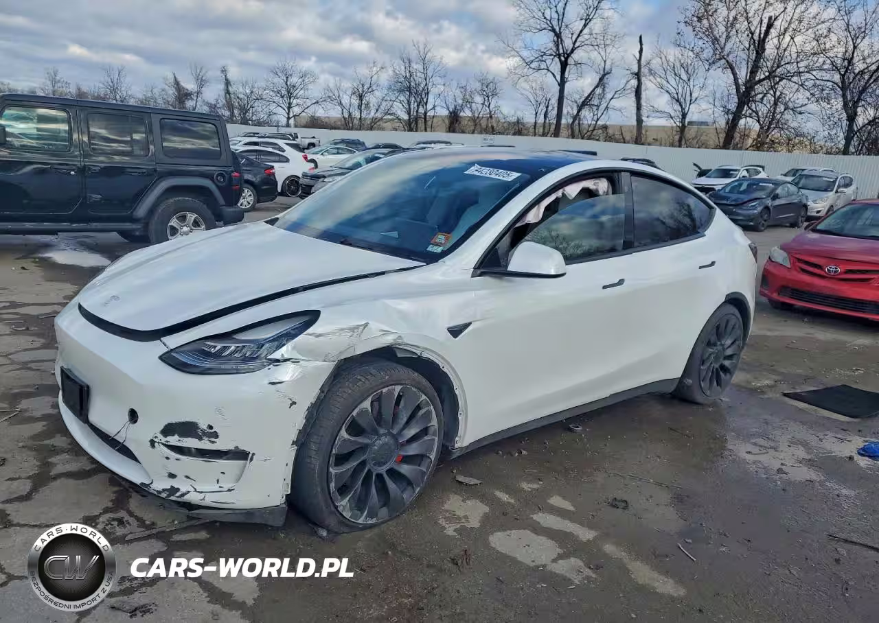 2021 Tesla Model Y