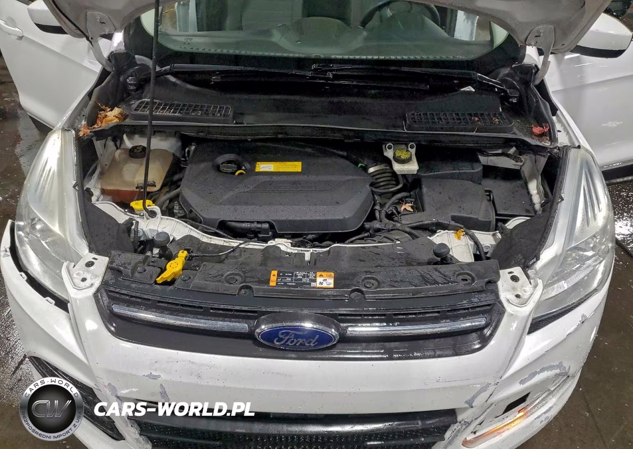 2016 Ford Escape Se VIN:1FMCU0GX7GUA98916 - 12