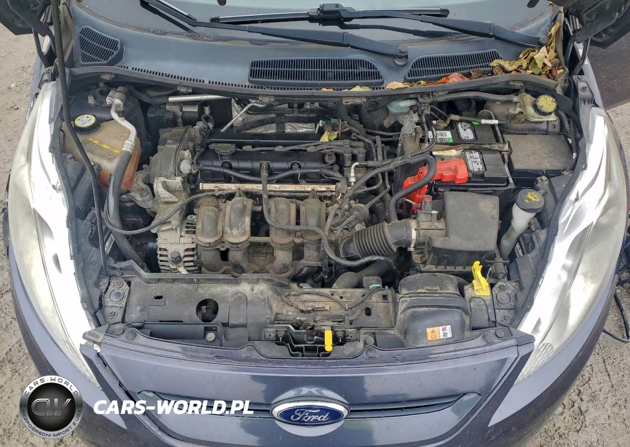 2013 Ford Fiesta Tit VIN:3FADP4EJ3DM184235 - 11