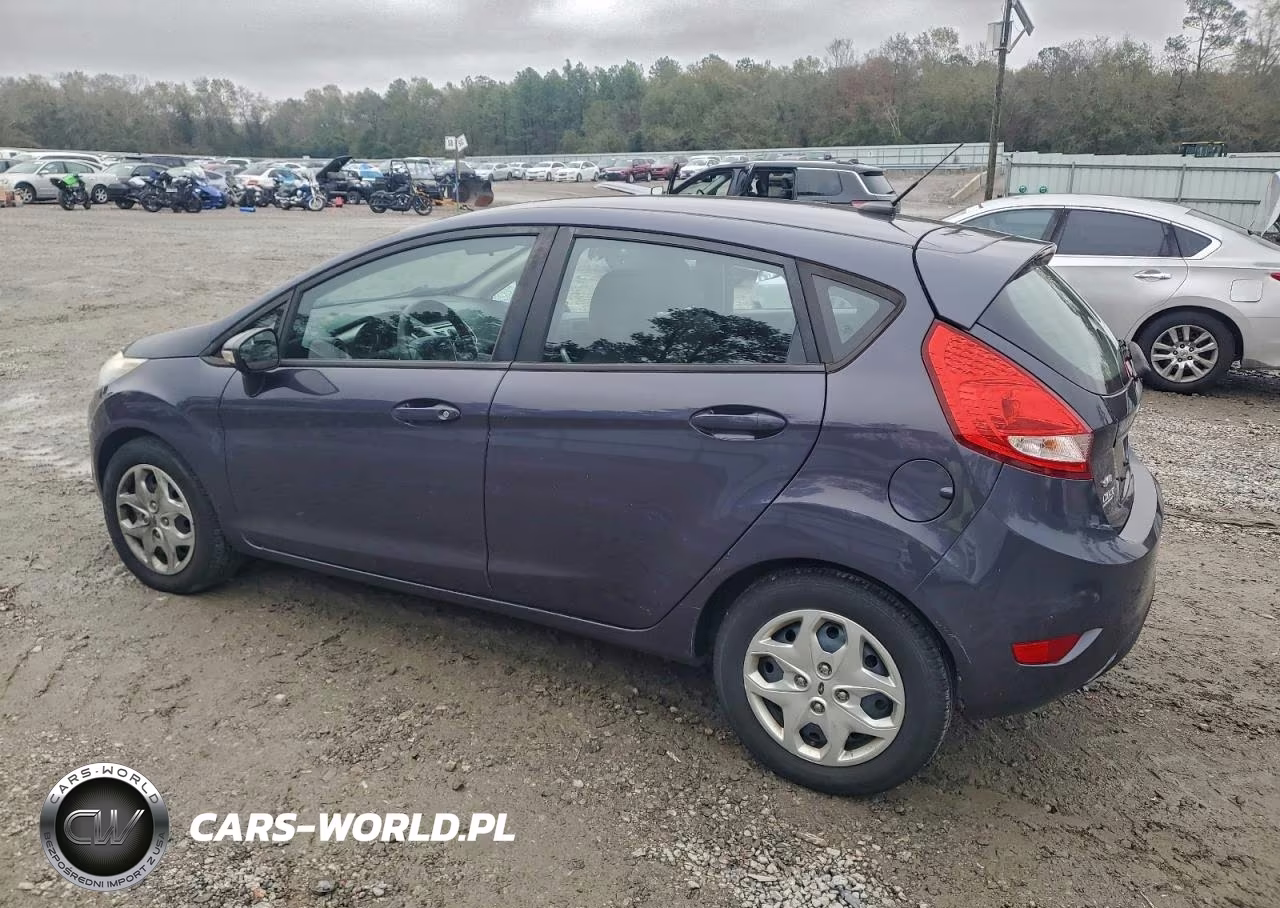 2013 Ford Fiesta Tit VIN:3FADP4EJ3DM184235 - 2