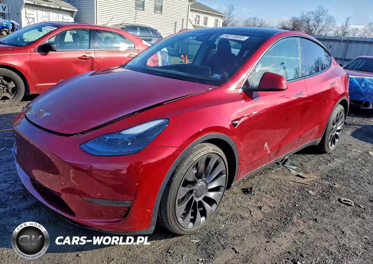 2025 Tesla Model Y