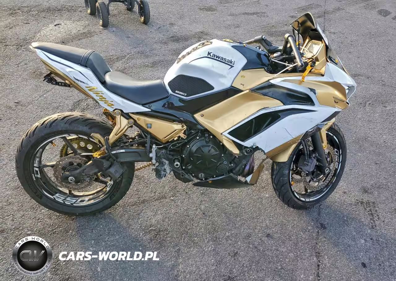 2020 Kawasaki Ex650 M