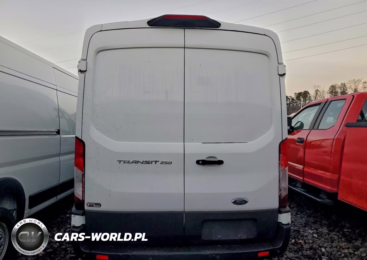 2019 Ford Transit T-250 Delivery Van VIN:1FTYR1CM6KKA85012 - 6