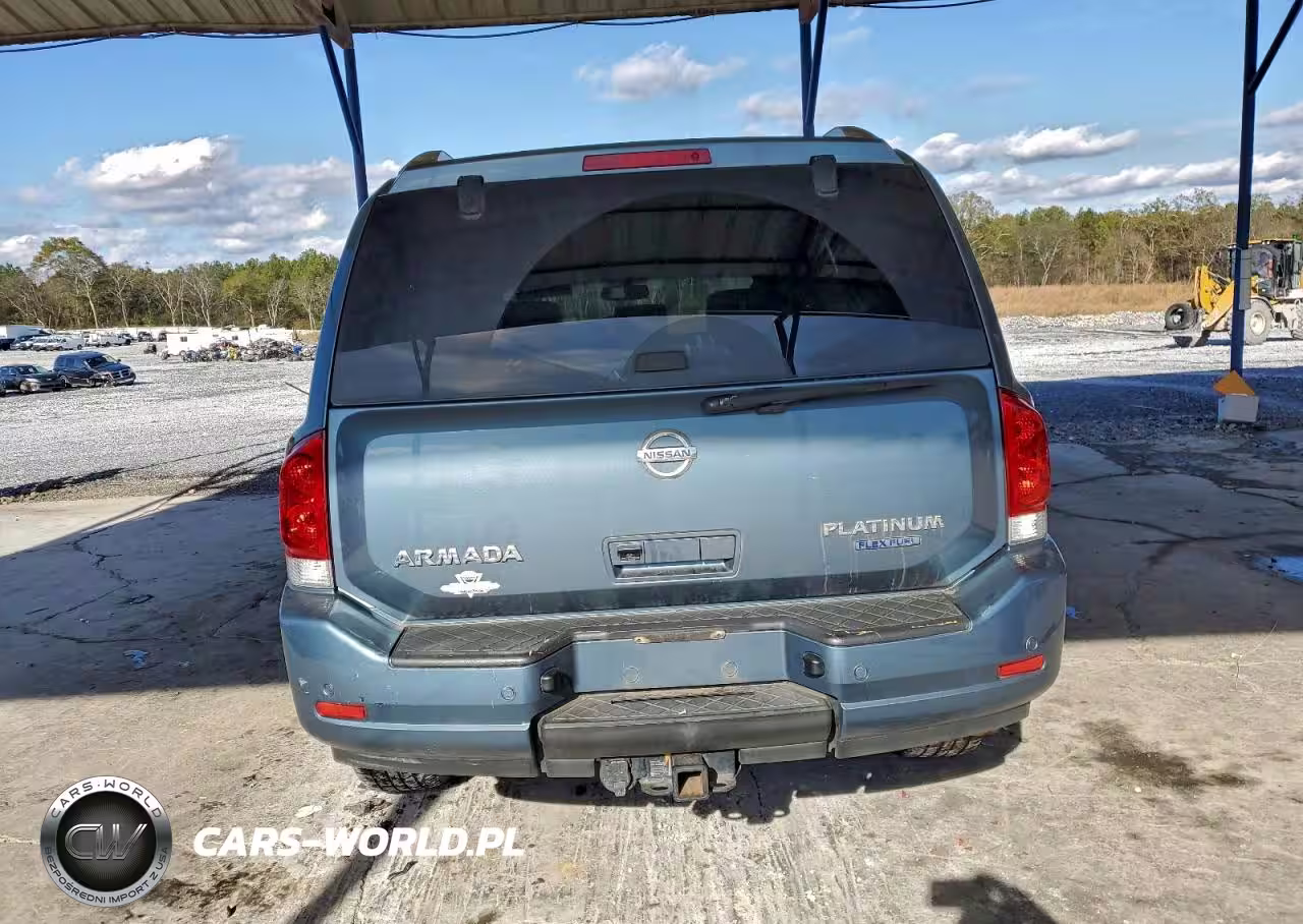 2010 Nissan Armada Se VIN:5N1BA0ND8AN618796 - 6