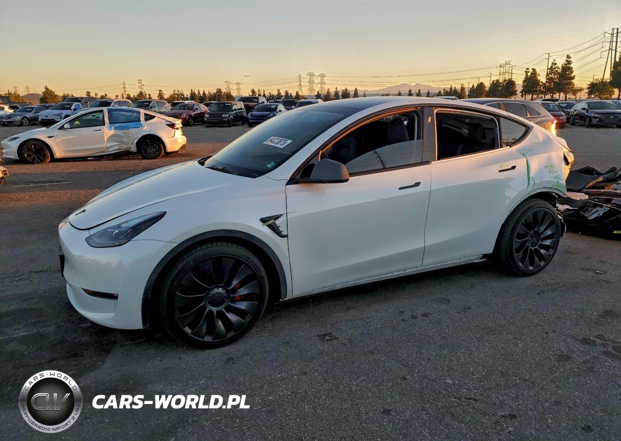 2023 Tesla Model Y