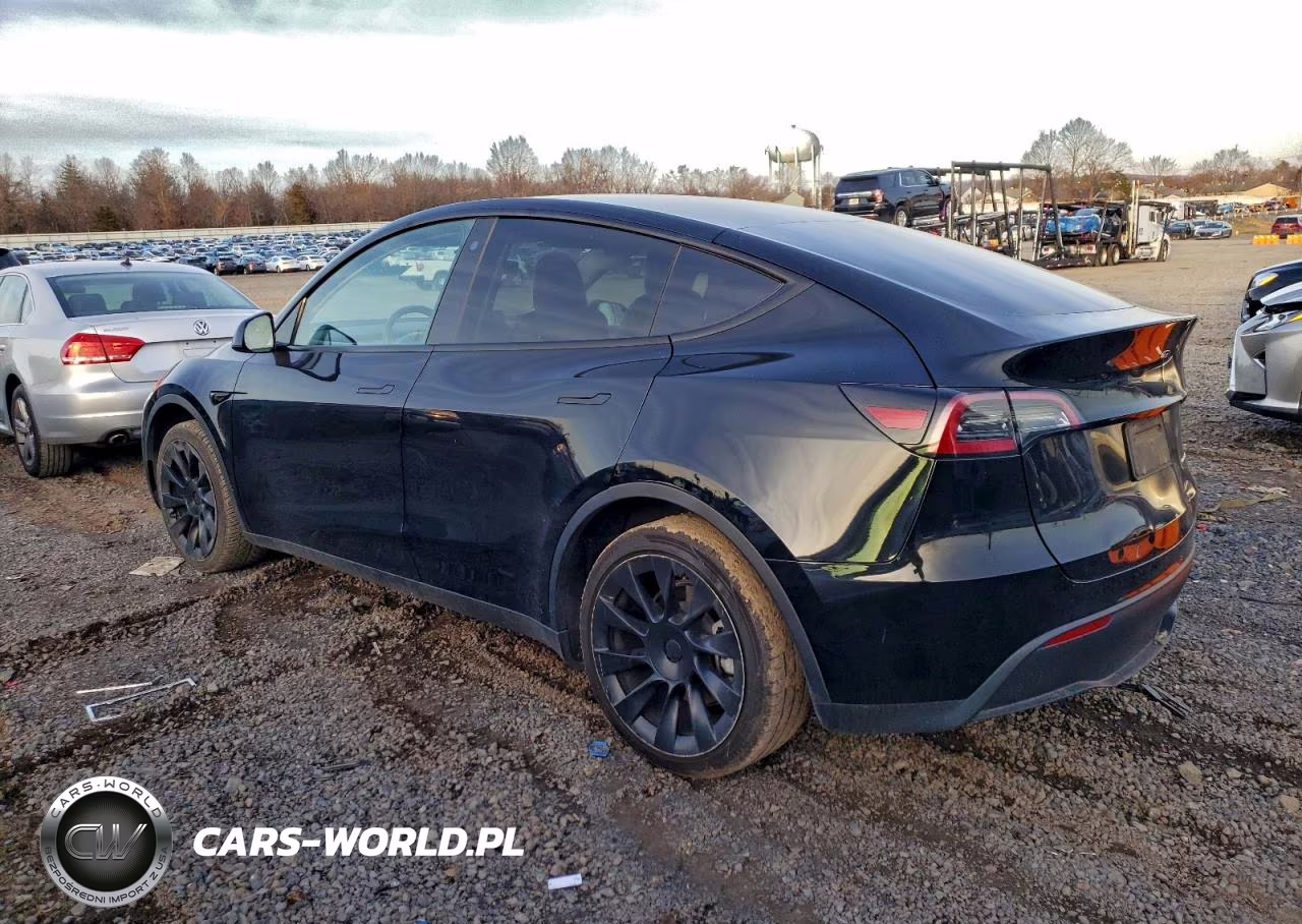 2023 Tesla Model Y VIN:7SAYGDEE5PA124092 - 2