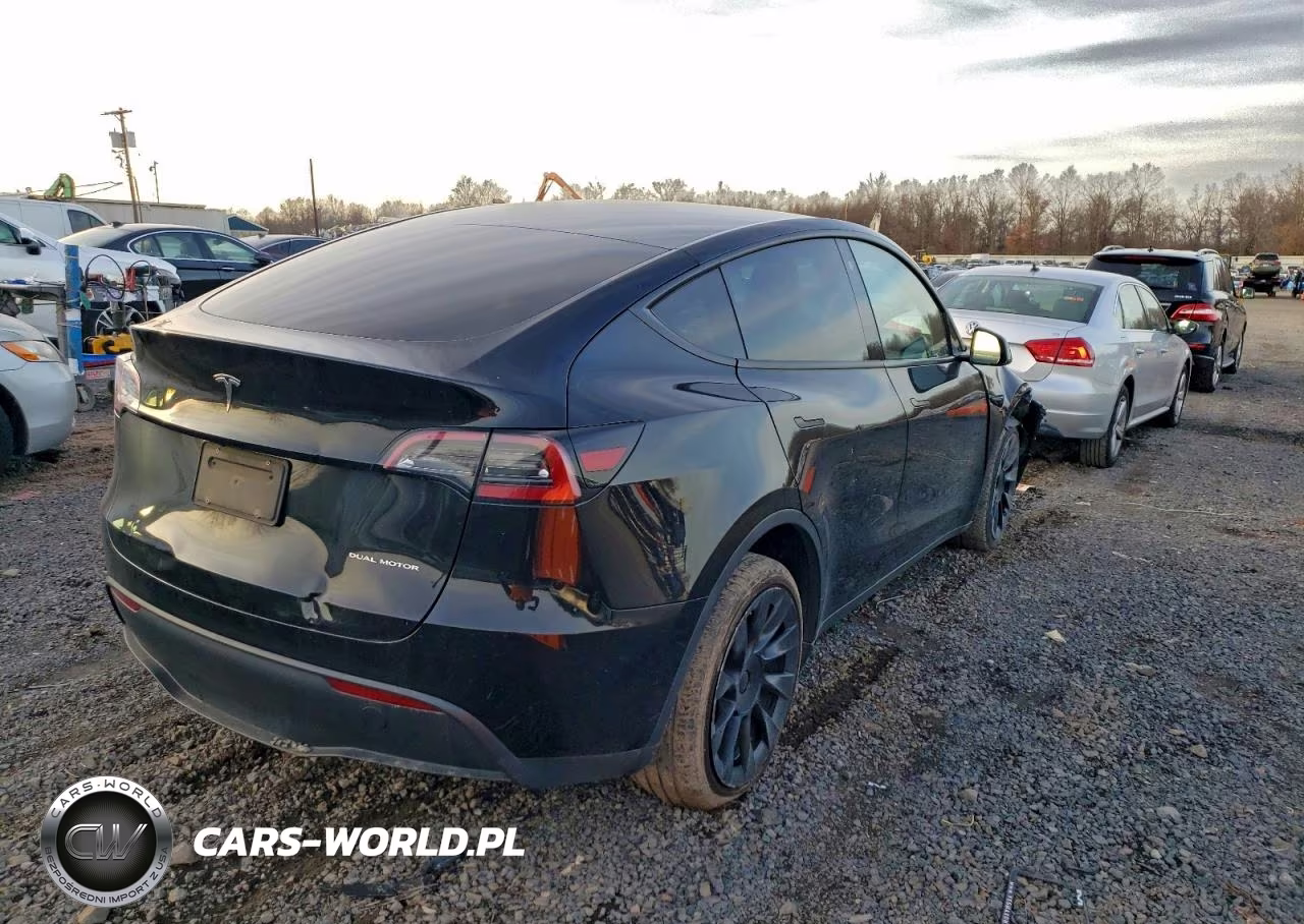 2023 Tesla Model Y VIN:7SAYGDEE5PA124092 - 3