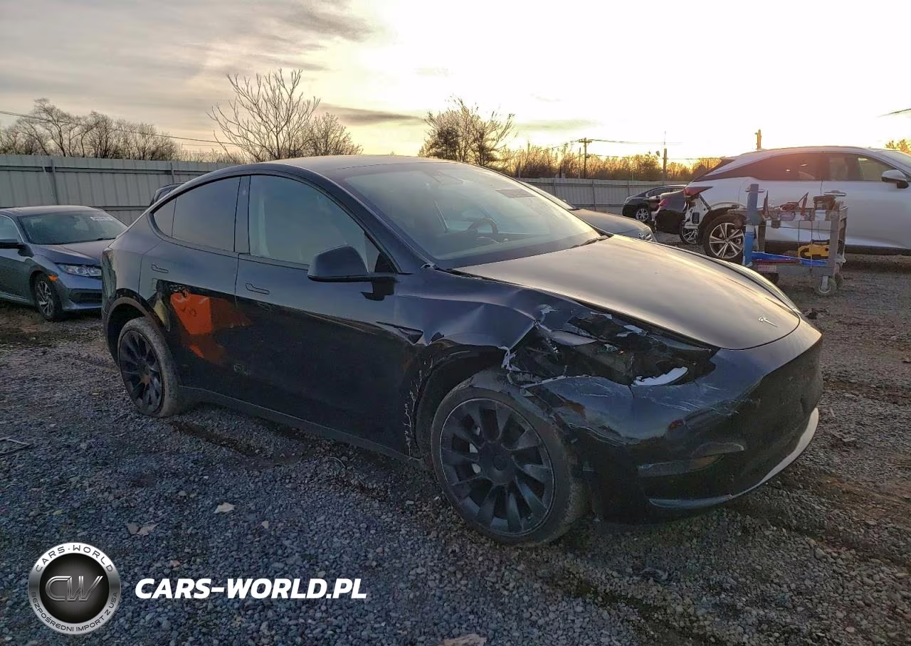 2023 Tesla Model Y VIN:7SAYGDEE5PA124092 - 4