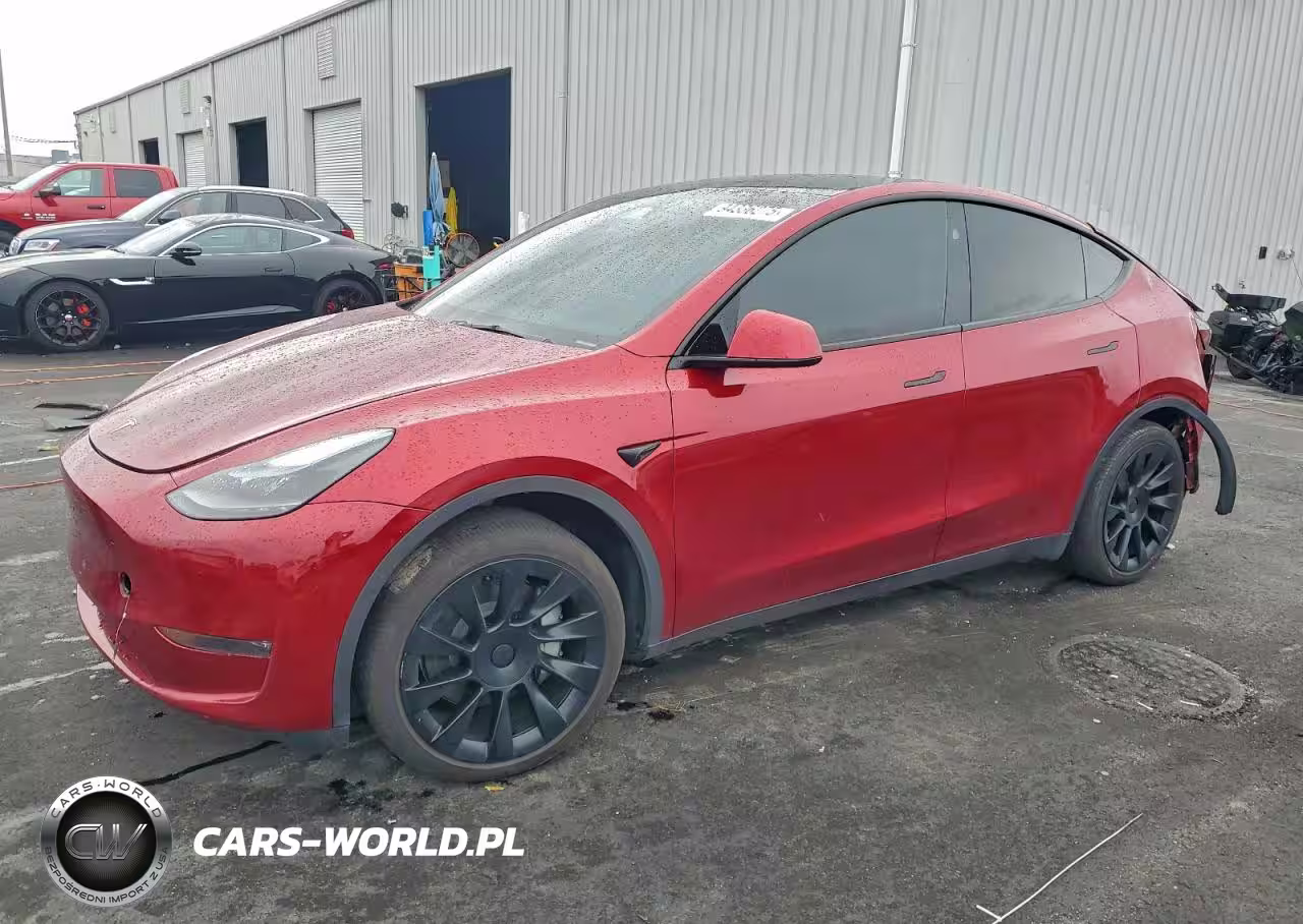 2024 Tesla Model Y