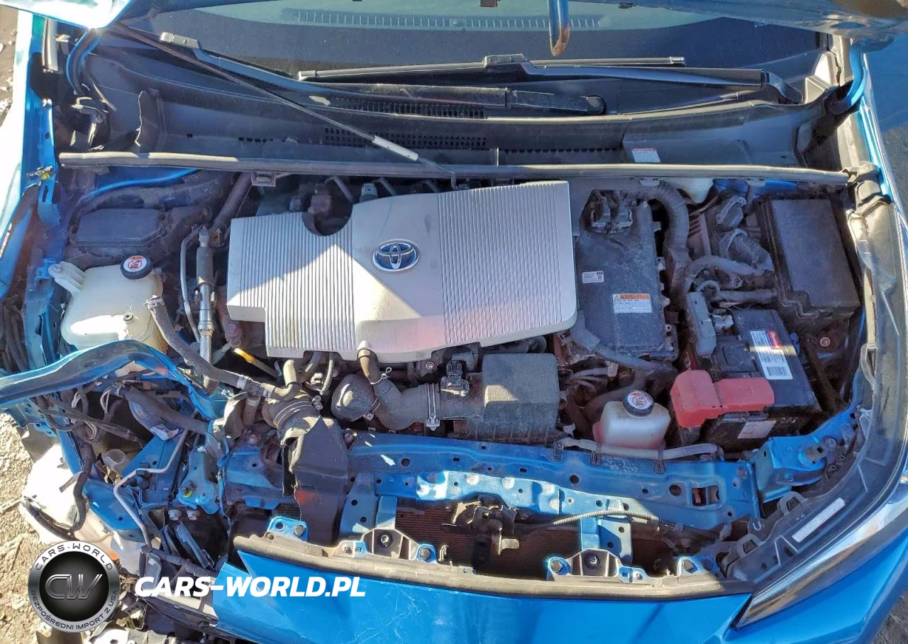 2019 Toyota Prius VIN:JTDL9RFU7K3009684 - 11