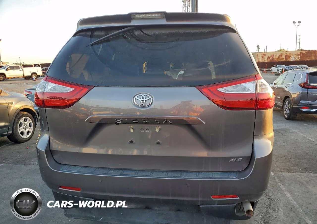 2019 Toyota Sienna Xle VIN:5TDYZ3DC4KS017088 - 6