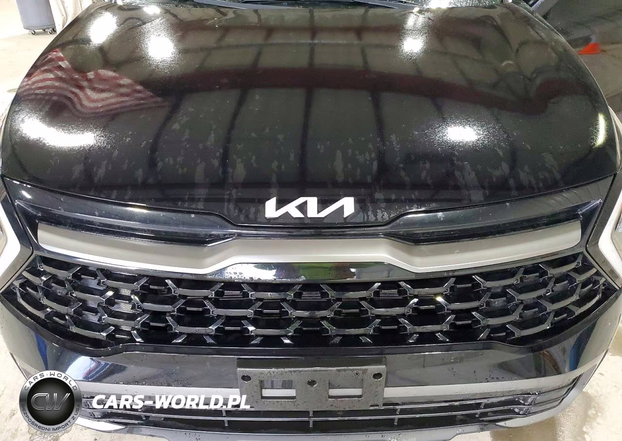 2023 Kia Sportage X Line VIN:5XYK6CAF0PG056830 - 12