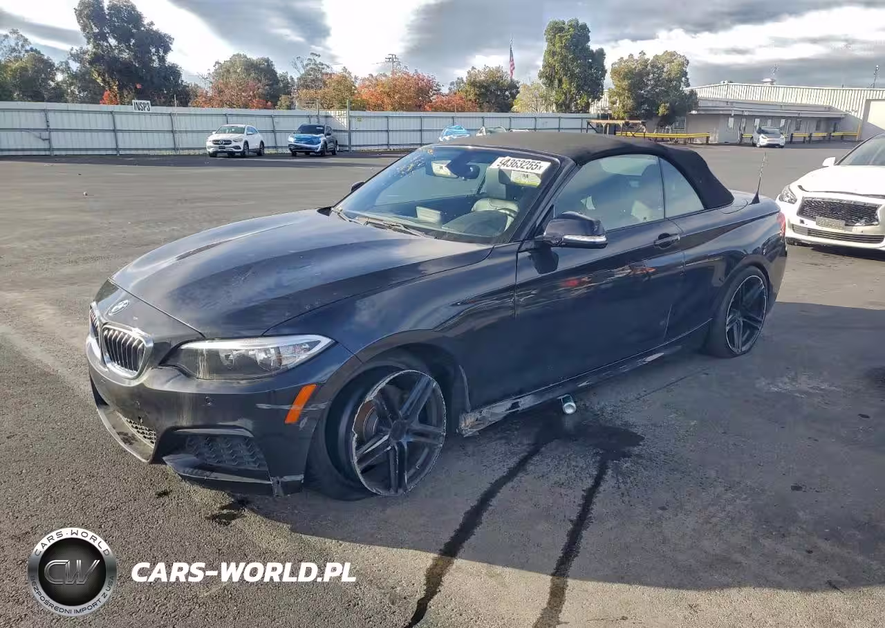 2016 BMW 228 I Sulev