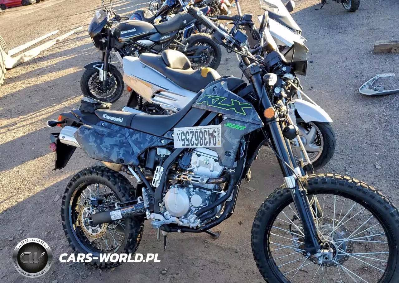 2022 Kawasaki Klx300 D