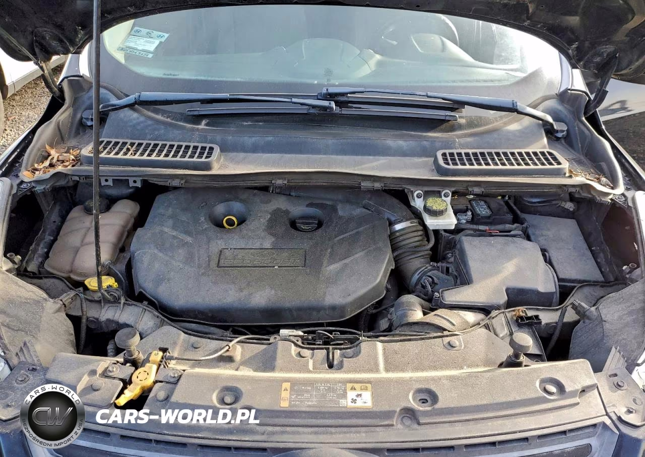 2016 Ford Escape Se VIN:1FMCU0G99GUC45268 - 12