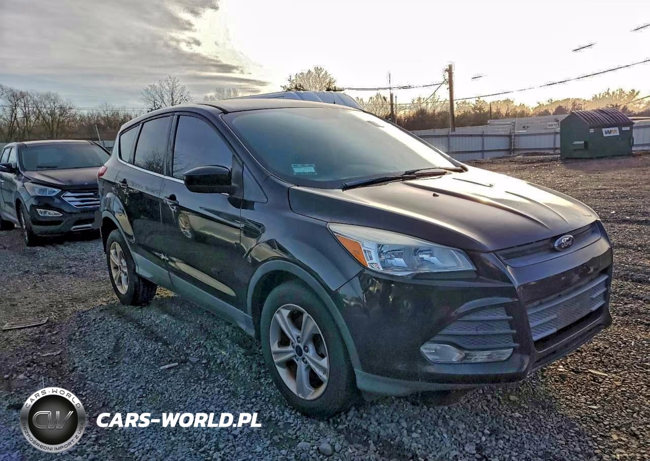 2016 Ford Escape Se VIN:1FMCU0G99GUC45268 - 4