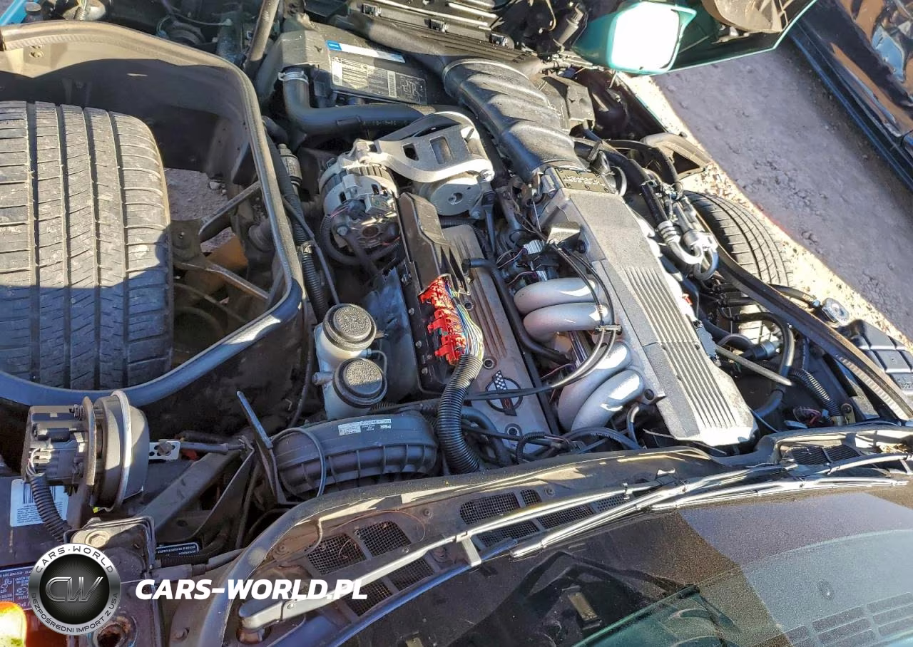 1991 Chevrolet Corvette VIN:1G1YY3388M5106776 - 11