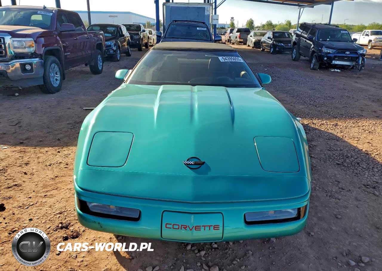 1991 Chevrolet Corvette VIN:1G1YY3388M5106776 - 5