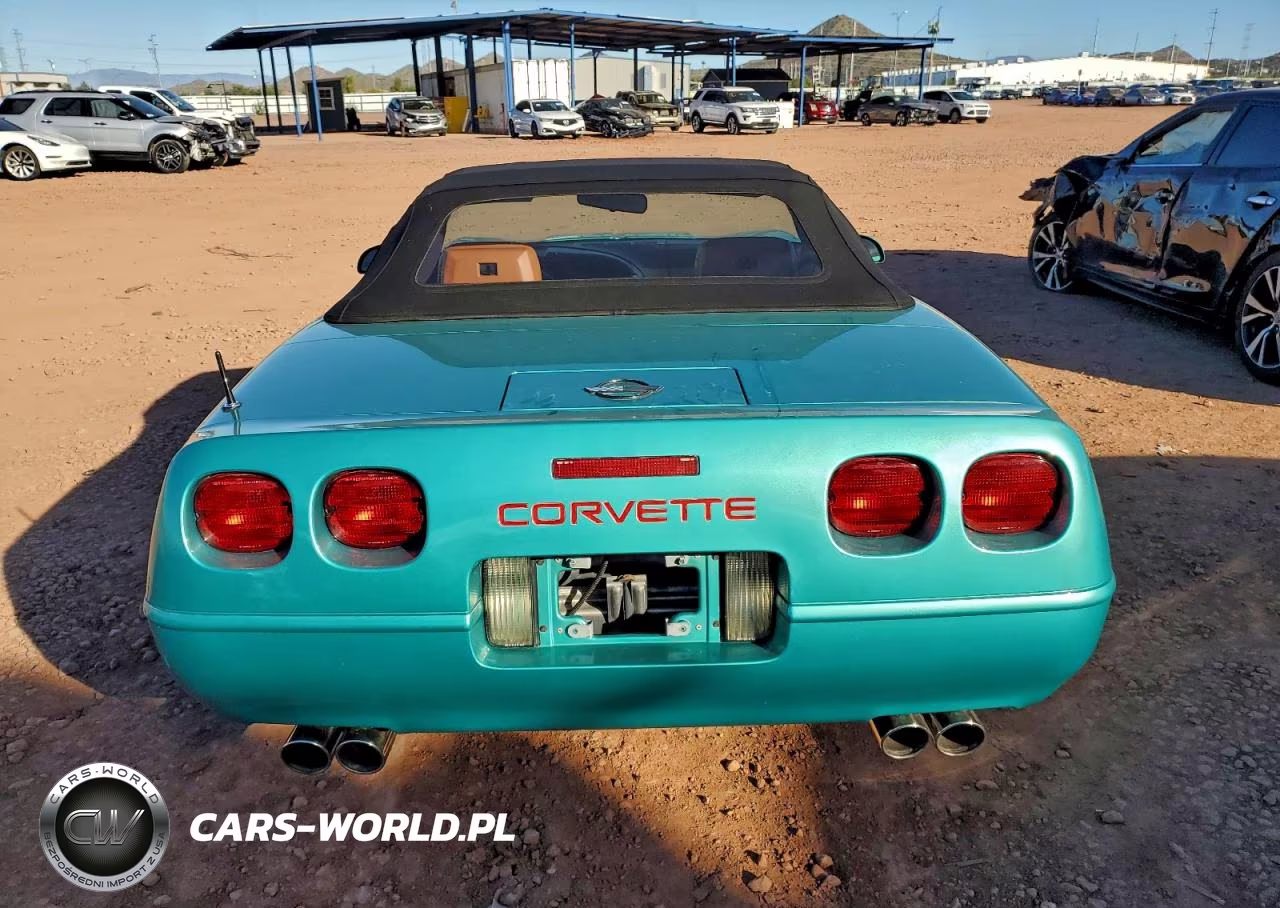 1991 Chevrolet Corvette VIN:1G1YY3388M5106776 - 6