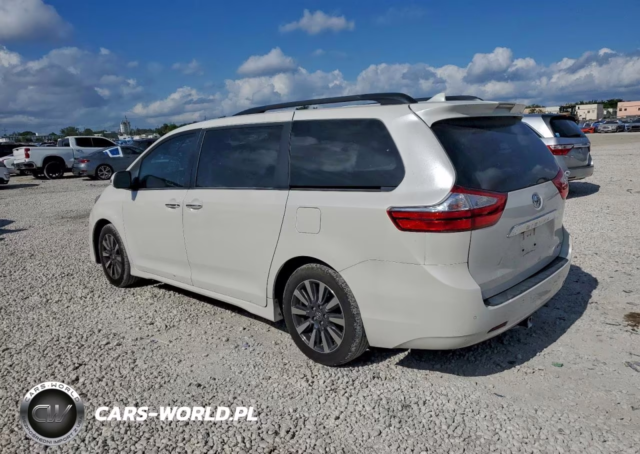 2019 Toyota Sienna Xle VIN:5TDYZ3DC5KS998189 - 2