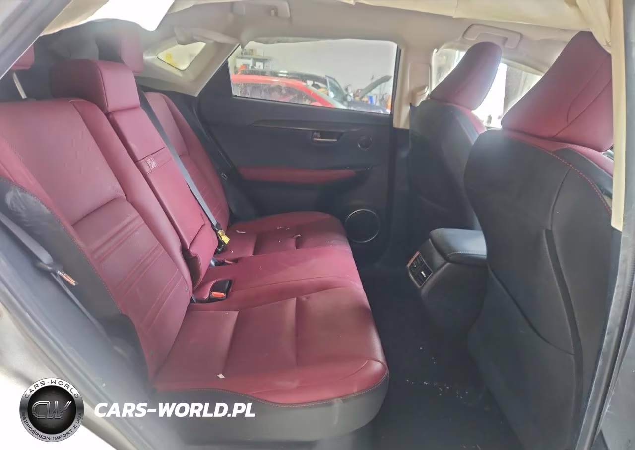 2021 Lexus Nx 300 Base VIN:JTJDARDZ7M2261533 - 10