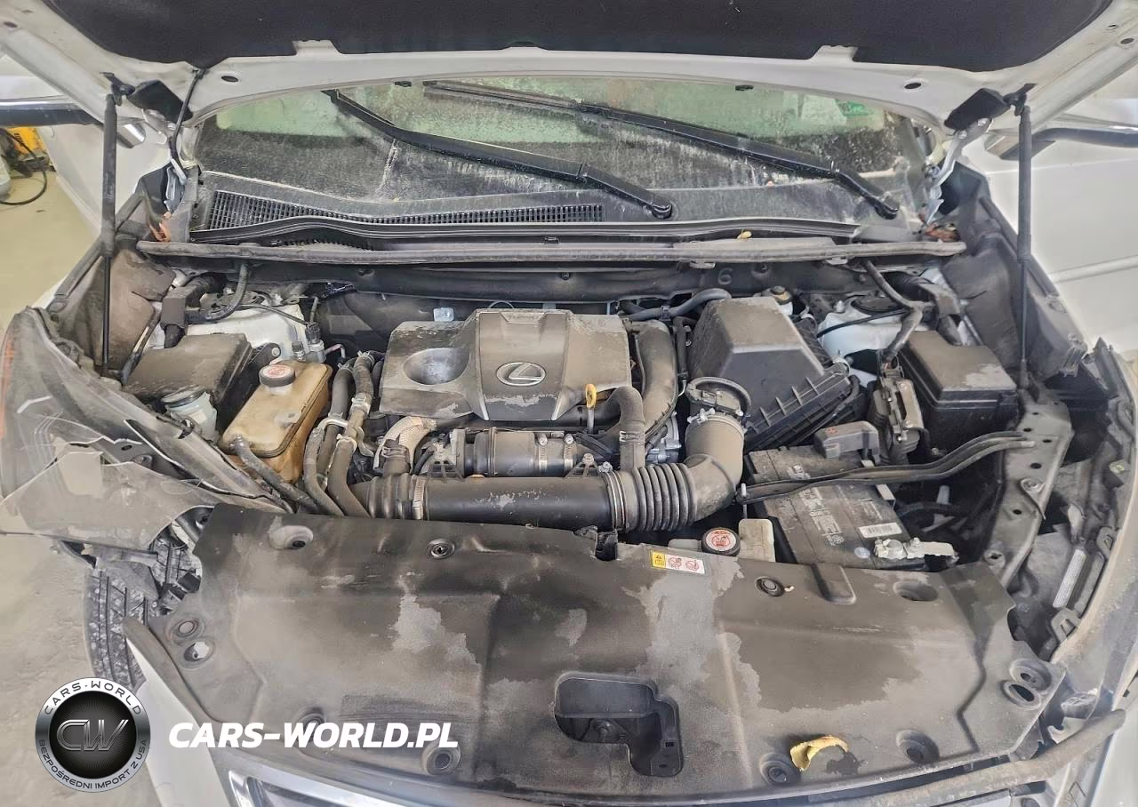 2021 Lexus Nx 300 Base VIN:JTJDARDZ7M2261533 - 11
