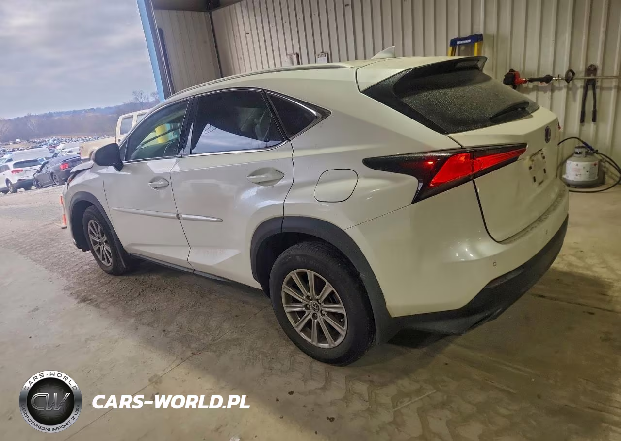 2021 Lexus Nx 300 Base VIN:JTJDARDZ7M2261533 - 2