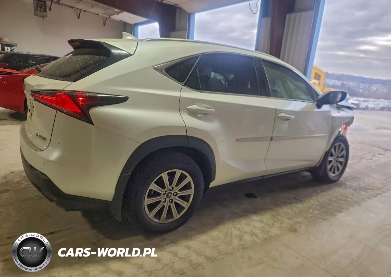 2021 Lexus Nx 300 Base VIN:JTJDARDZ7M2261533 - 3