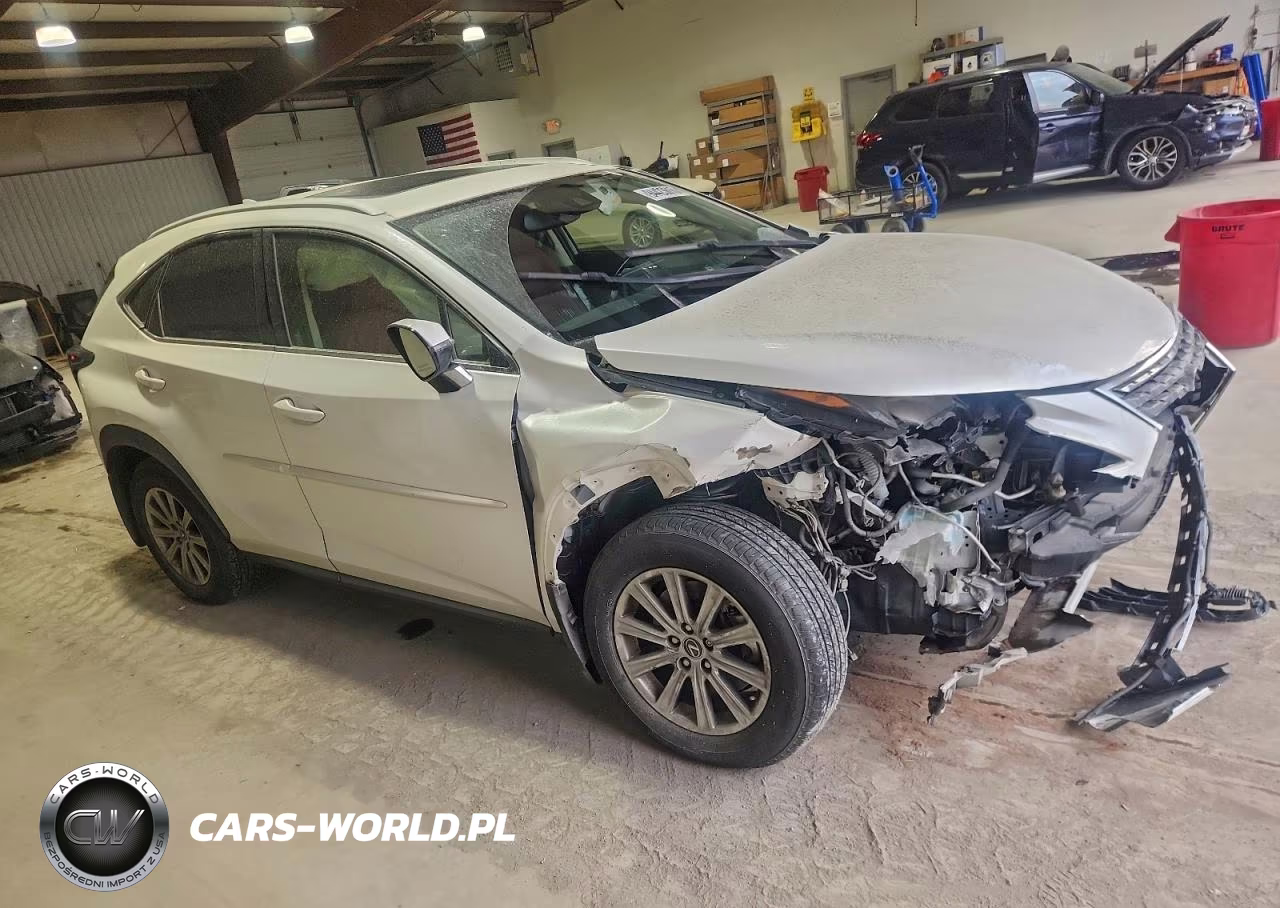 2021 Lexus Nx 300 Base VIN:JTJDARDZ7M2261533 - 4