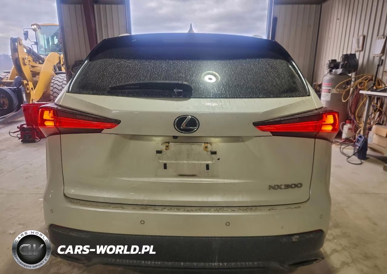2021 Lexus Nx 300 Base VIN:JTJDARDZ7M2261533 - 6