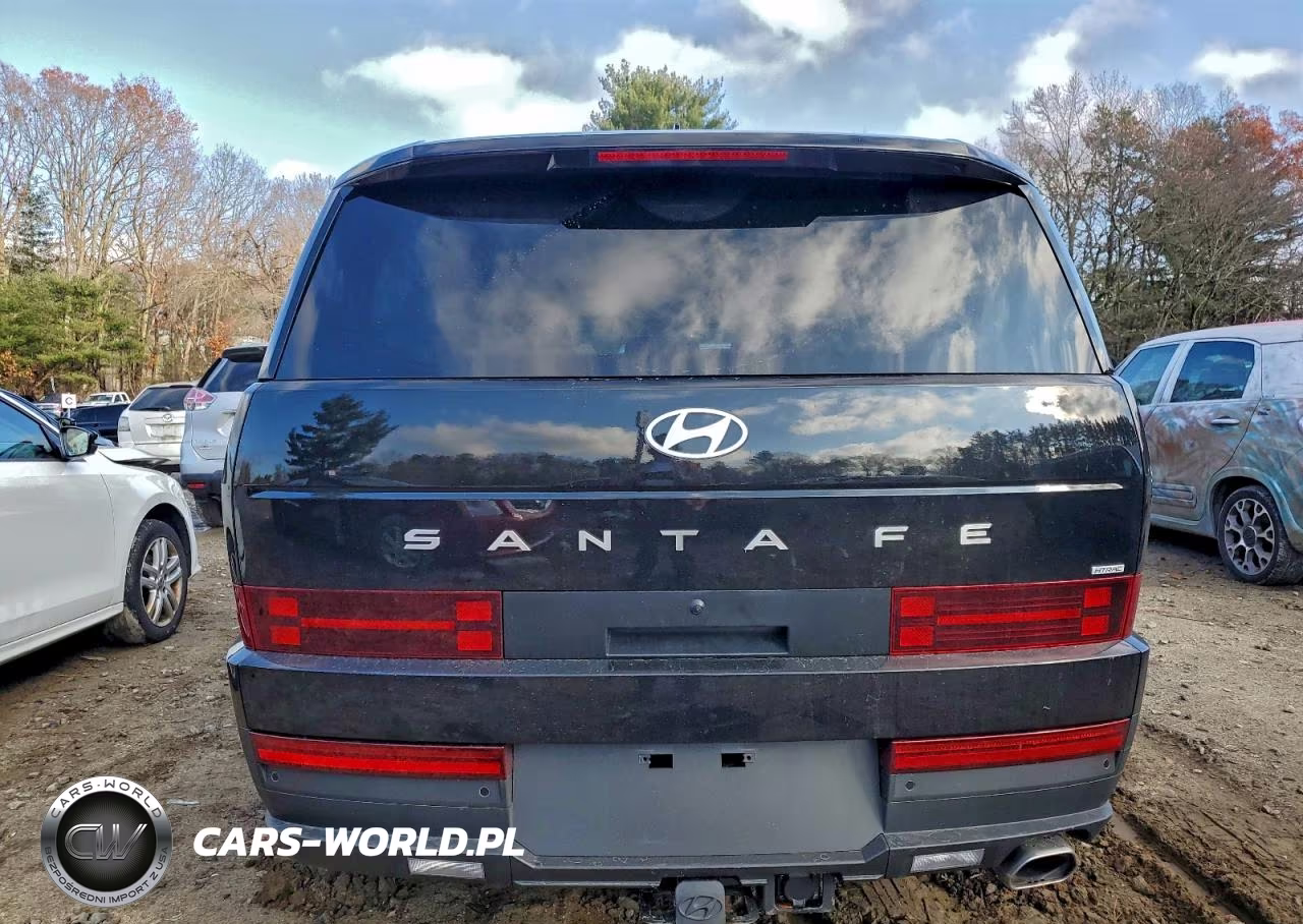 2025 Hyundai Santa Fe Se VIN:5NMP1DGL7SH116026 - 6