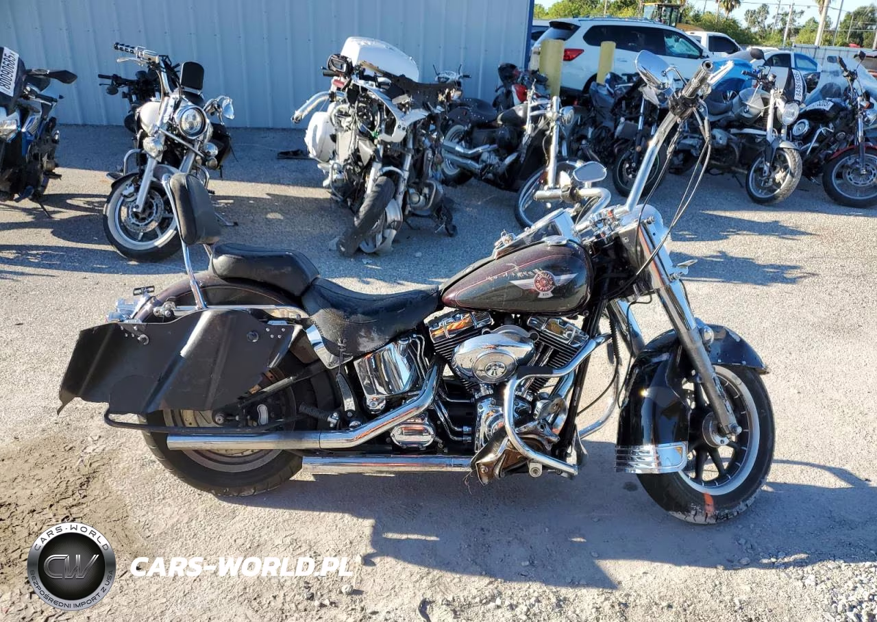 2005 Harley-Davidson Flstfi