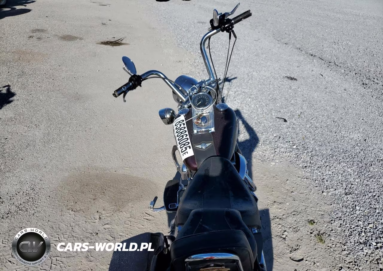 2005 Harley-Davidson Flstfi VIN:1HD1BXB125Y025275 - 6