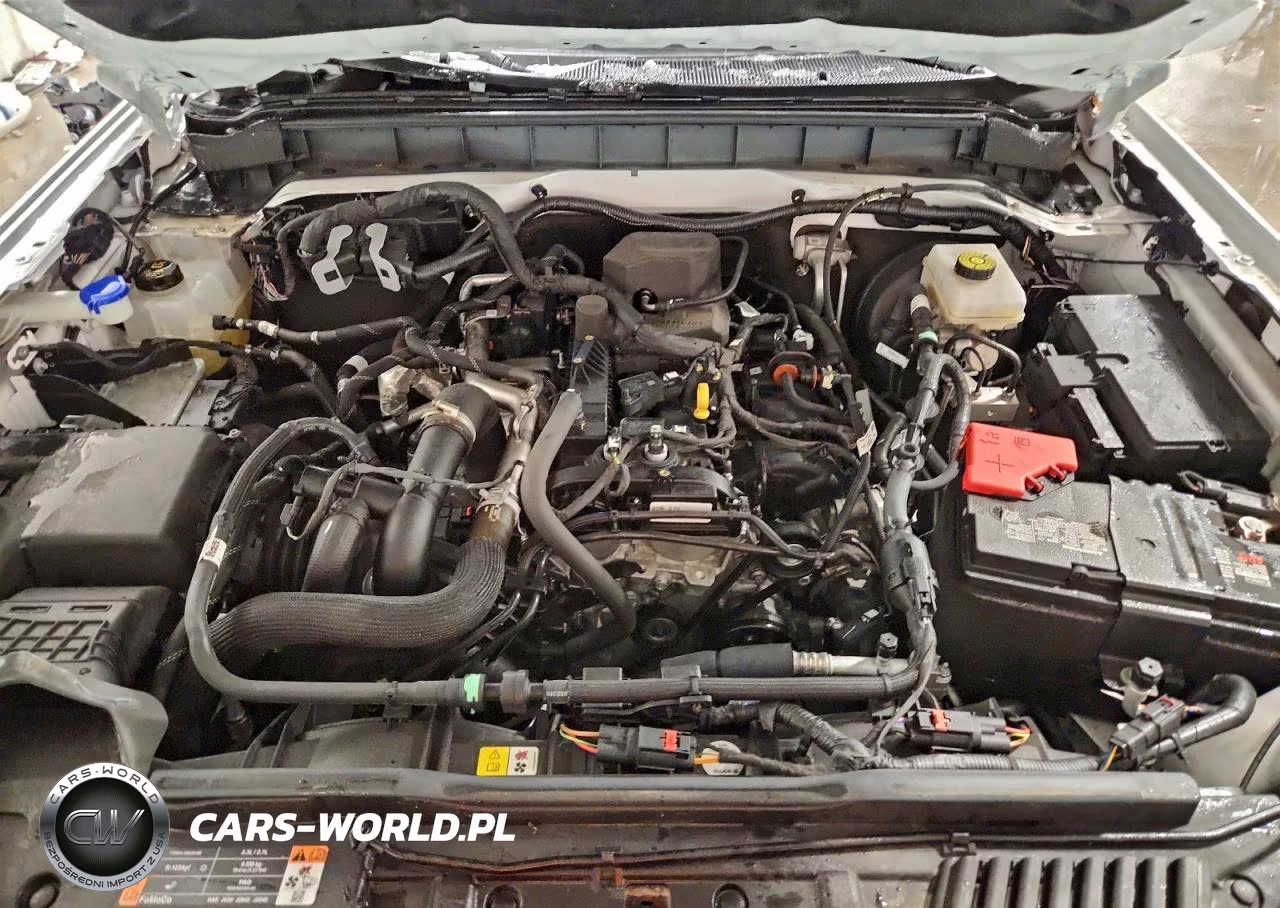2024 Ford Bronco Outer Banks VIN:1FMDE8BH7RLA11914 - 12