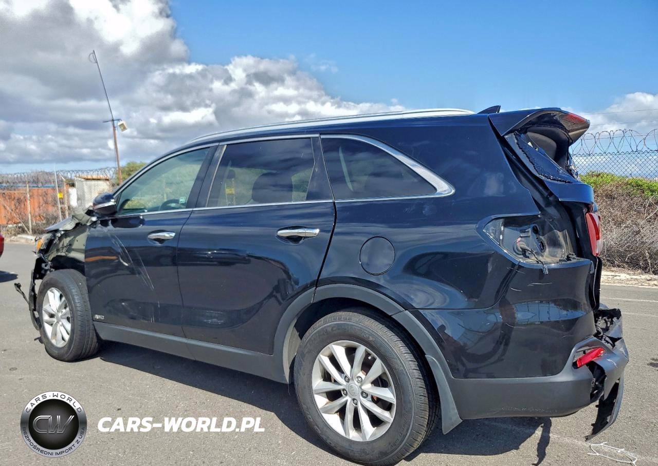 2017 Kia Sorento Lx VIN:5XYPGDA37HG256104 - 2