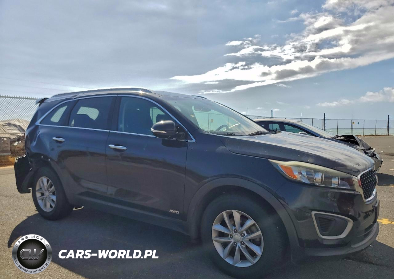 2017 Kia Sorento Lx VIN:5XYPGDA37HG256104 - 4