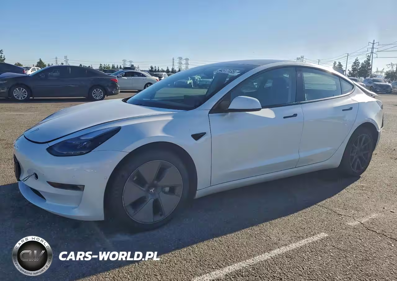 2021 Tesla Model 3