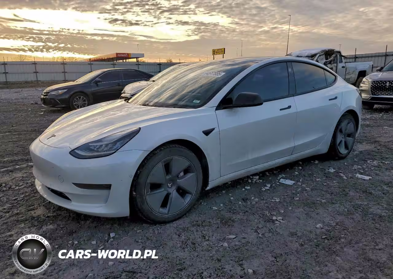 2021 Tesla Model 3