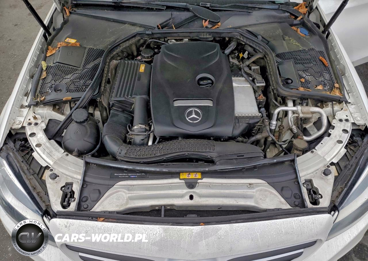 2016 Mercedes-Benz C 300 VIN:55SWF4JB5GU097318 - 11