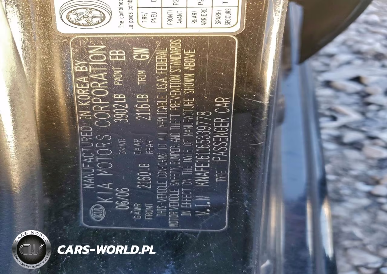 2006 Kia Spectra5 VIN:KNAFE161165339778 - 12