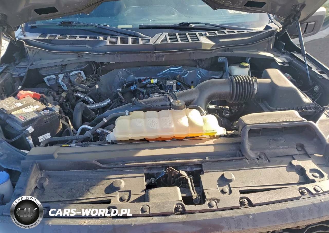 2021 Ford F150 Supercrew VIN:1FTEW1CP2MFB93693 - 11