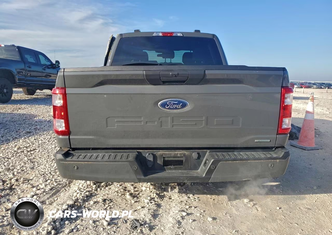 2021 Ford F150 Supercrew VIN:1FTEW1CP2MFB93693 - 6