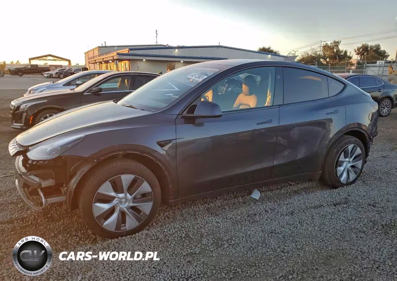 2024 Tesla Model Y